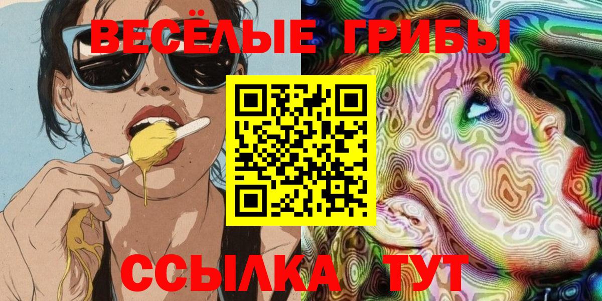 Псилоцибиновые грибы Cubensis  Вход с VPN  цены   Аша 