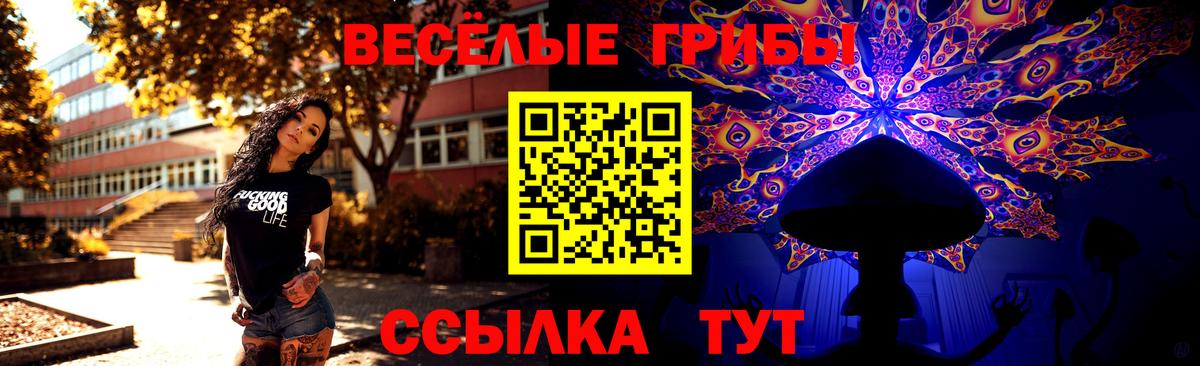 Галлюциногенные грибы Cubensis Аша